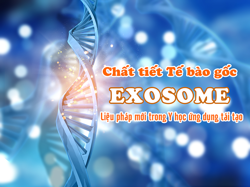 Chất tiết Tế bào gốc Exosome – Liệu pháp mới trong Y học ứng dụng tái tạo