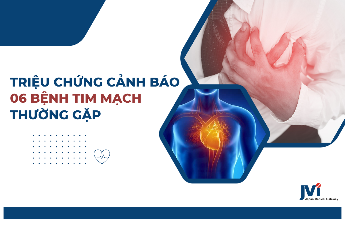 Triệu chứng cảnh báo 06 bệnh tim mạch thường gặp