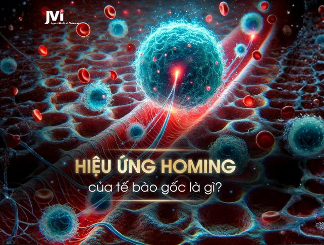 HIỆU ỨNG HOMING CỦA TẾ BÀO GỐC LÀ GÌ?
